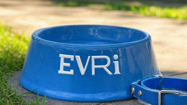 Evri запускает в Великобритании роботизированных собак для доставки посылок