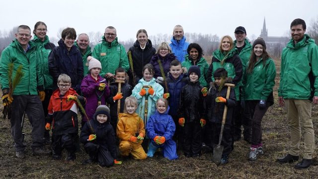 DPD и Forestry England высадят леса по всей Англии