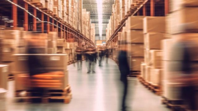 Protega Global выпустила руководство по упаковке к пиковому сезону