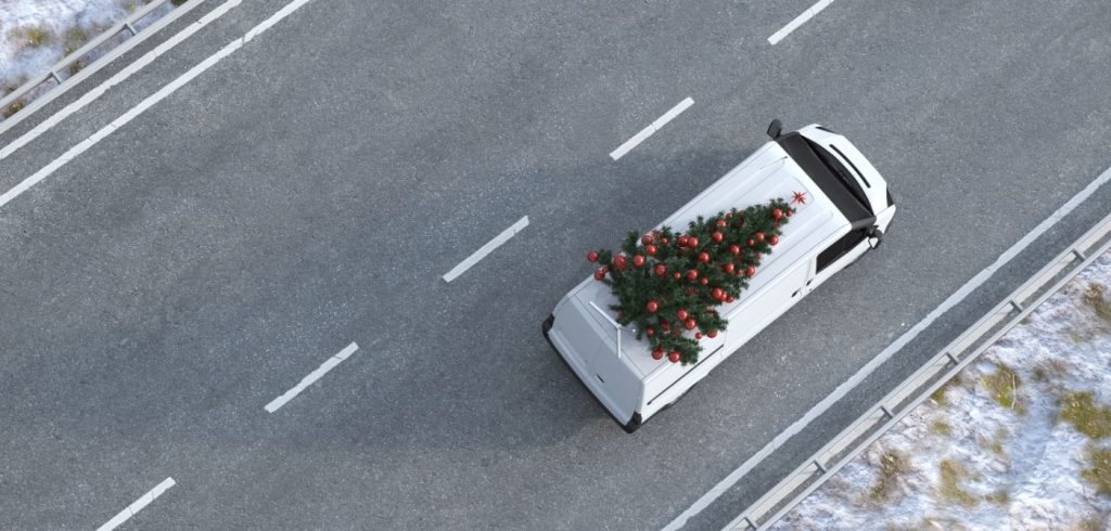 Stuart UK и Green Elf Trees будут экологично доставлять рождественские ёлки
