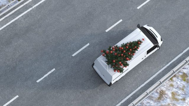 Stuart UK и Green Elf Trees будут экологично доставлять рождественские ёлки